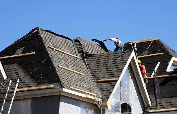 Best Roof Gutter Cleaning  in Ipswich, SD