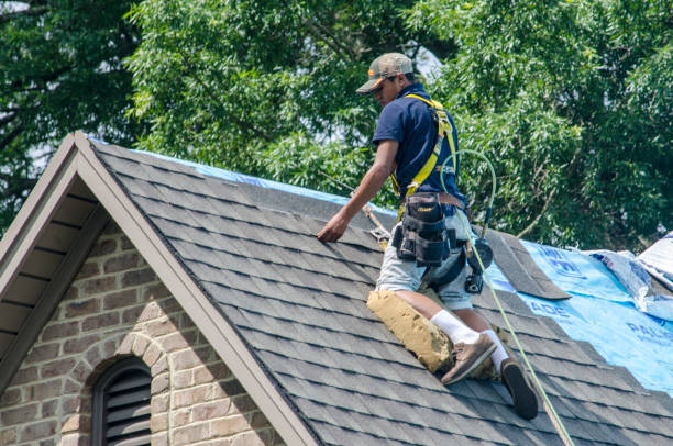 Best Emergency Roof Repair  in Ipswich, SD